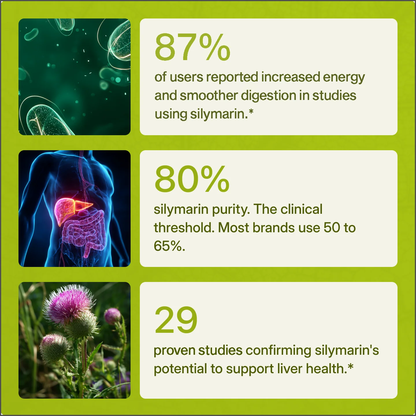 Milk Thistle Liver Support